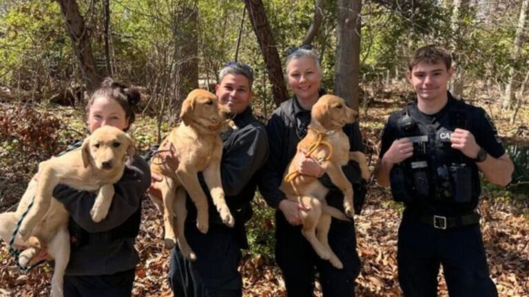 Maryland Woman Follows Barking In The Woods And Makes A Heartbreaking Discovery