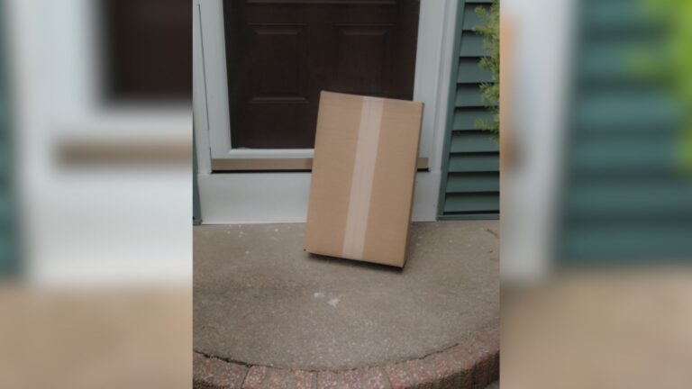 Chicago Woman Notices A Mysterious Package On Her Porch And Finds Something She Never Expected