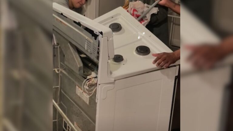 California Woman Hears Odd Noises From Her Stove, Then Gets Startled By Tiny Pink Nose