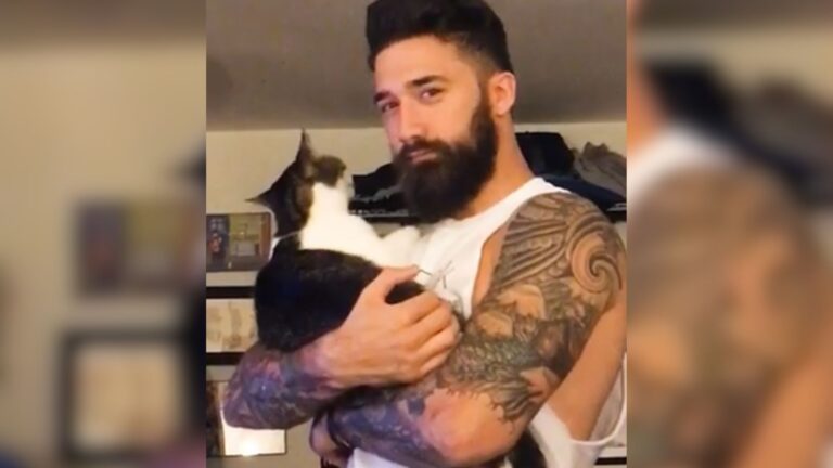 Maryland Woman Adopts A Kitten But Things Soon Take An Unexpected Turn With Her Husband
