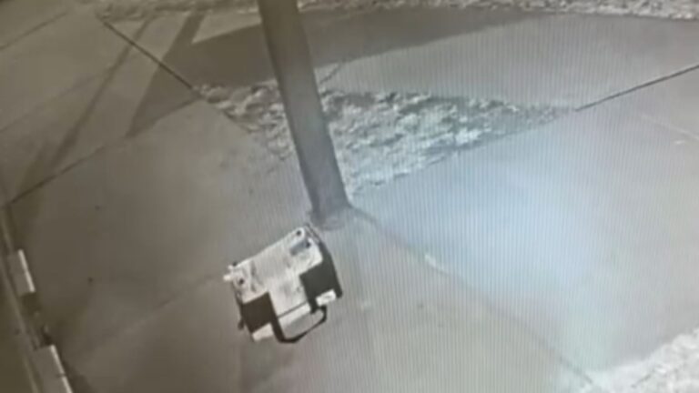 Minnesota Rescuers Saw Abandoned Carrier At Their Door, The Next Moment Took Him By Surprise