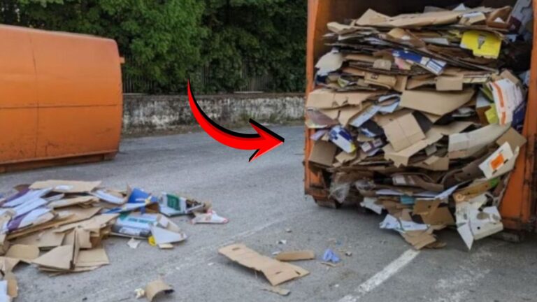 New Jersey Workers Follow Faint Cries And Make Unforgettable Discovery In Cardboard Compressor