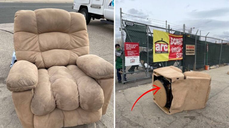 Thrift Store Workers In Colorado Check Donated Recliner And Freeze At What They Find Inside