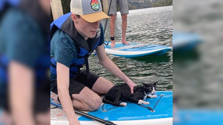 Louisiana Family Watches In Shock As Cat Suddenly Jumps From The Bridge Into The River Below