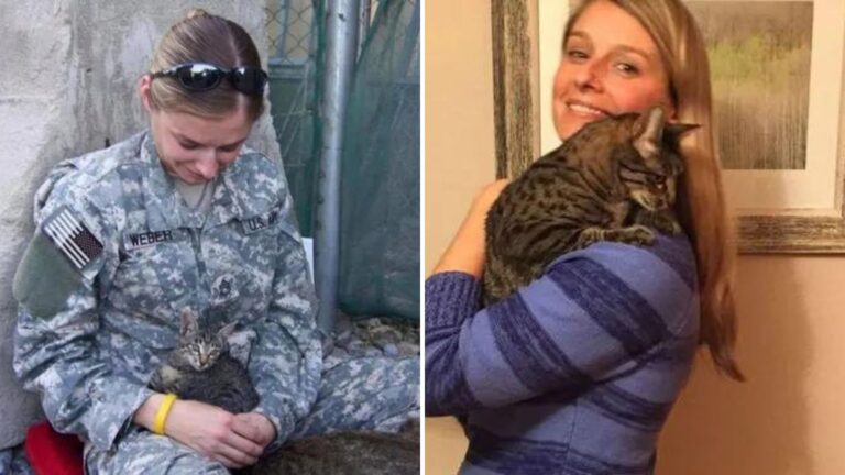 Colorado Soldier Meets Disabled Kitten Just Days Before Deployment And Her Life Changes Forever