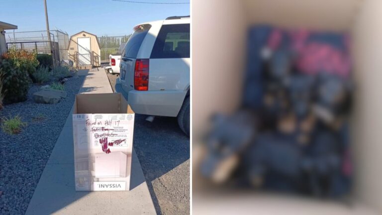 Box Marked ‘Found On HWY 17’ Brings Washington Rescuers To Tears When They See What’s Inside