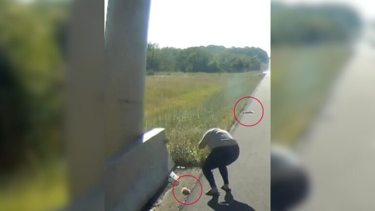 Texas Couple Sees 2 Motionless Figures Lying By The Roadside And Decides To Take A Closer Look