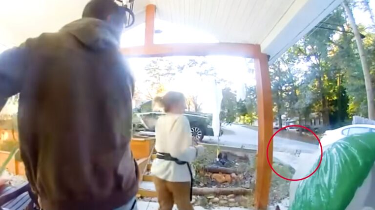 South Carolina Couple Spots ‘Coyote’ In Their Yard Only To Learn It’s Not What They Thought