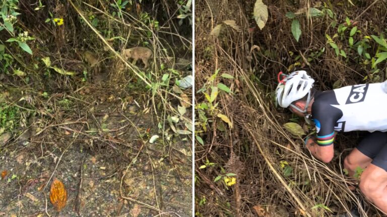 Cyclists Riding In Colombia Hear Distressed Cries From The Woods And Act Instinctively