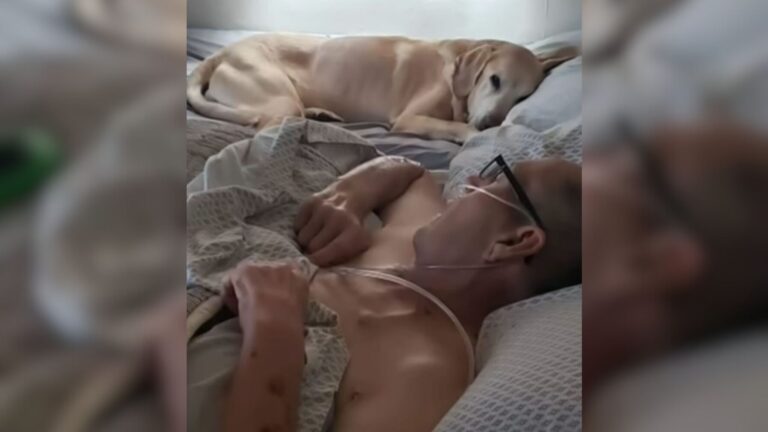 Minnesota Dog Takes His Final Breath Moments Before His Beloved Owner, Watch Until The Very End