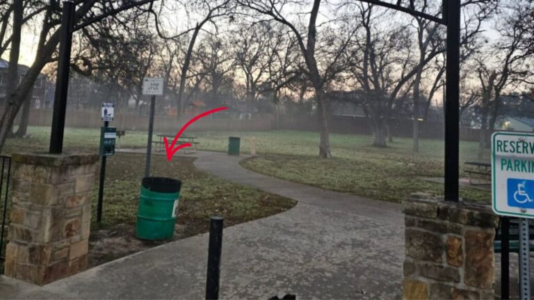 Texas Man Hears Tiny Whimpers From A Trash Can And Freezes When He Looks Inside
