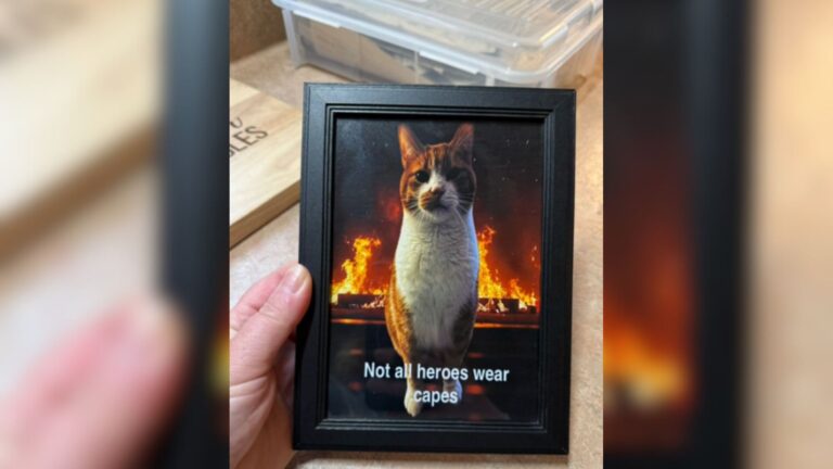 Ohio Cat Starts Scratching At Owners’ Door At Midnight And Stops A Nightmare From Unfolding