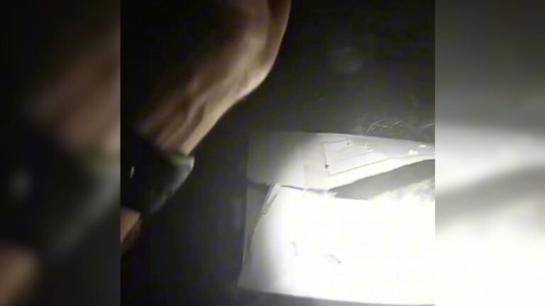 Indiana Woman Notices A Box In A Dark Alley And Discovers A Scene No One Should Ever Witness