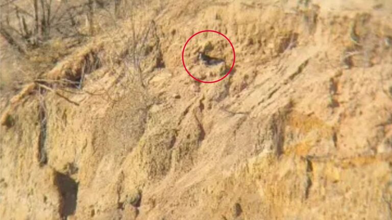 Man Notices An Odd Shape On A Cliff In Colorado And Rushes For Help When He Realizes What It Is