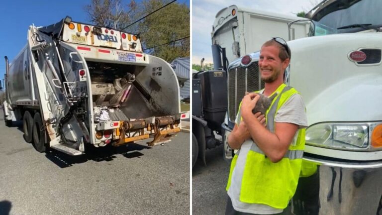 New Jersey Worker Spots Something Furry Inside A Trash Compactor And Then… It Moves