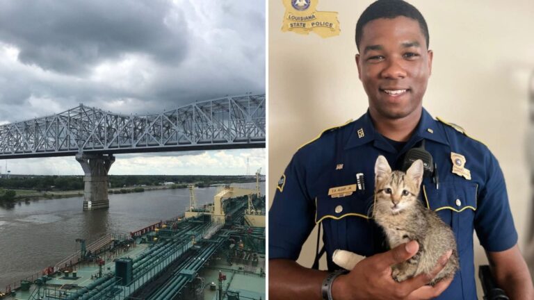 Louisiana Local Sees Tiny Figure Stranded On Massive Bridge And Quickly Calls For Help