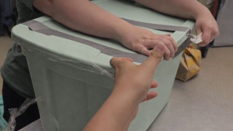Missouri Homeowner Spots Two Bins In His Yard, Opens Them And Sees 40 Eyes Looking Back At Him