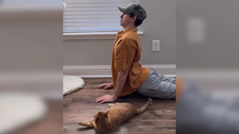 Mississippi Man Copies His Cat For A Whole Day And Millions Of Viewers Are Loving It