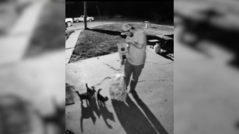 Kansas Man Checks A Box Left In His Yard And Finds Himself Facing A Heart-Stopping Moment