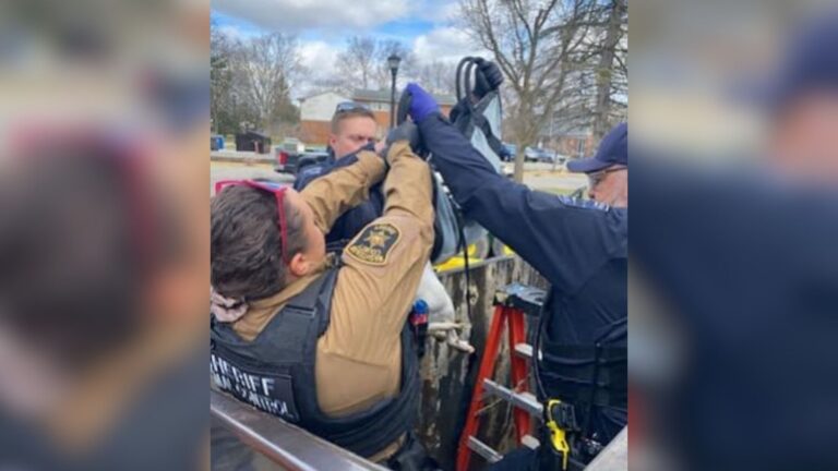 Michigan Officers Open A Dumpster Lid And Find A Little Precious Life Hanging By A Thread