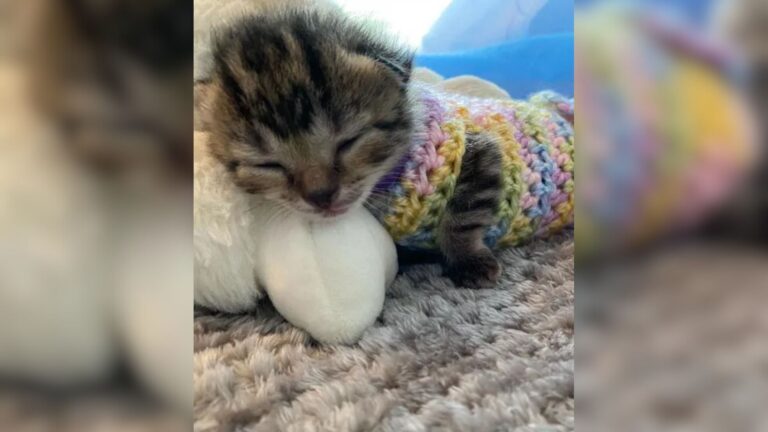 Virginia Woman Takes In 5 Abandoned Newborns And Turns Their Dire Situation Into A Miracle