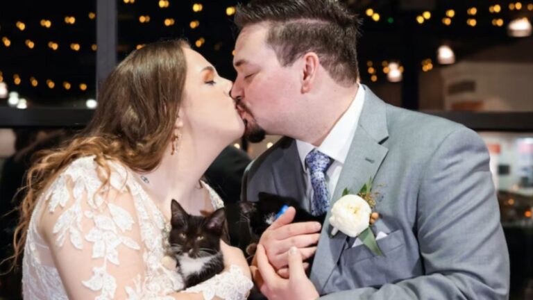 Florida Wedding Goes Viral After Couple Replaces Bouquet Toss With A ‘Cat Toss’