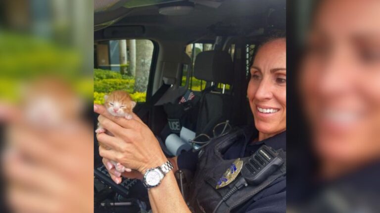 Florida Officer Notices Tiny Movement In A Bush And Steps In For A Life-Changing Rescue
