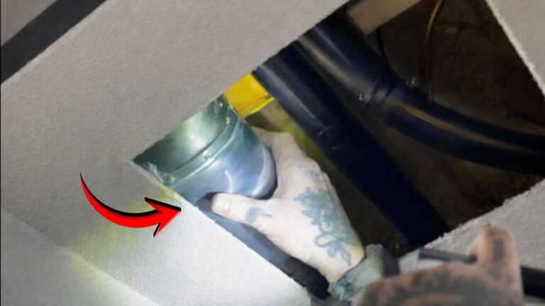 New Jersey Cat Slips Into Floor Vent And Gets Stuck In Narrow Duct Just Before Giving Birth