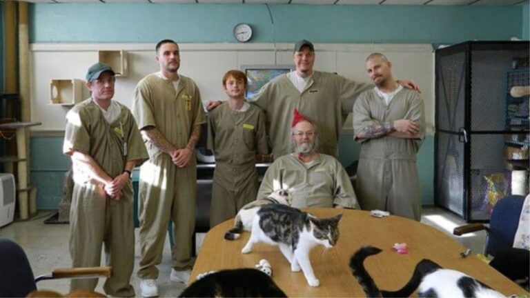 Rescue Cats Are Changing Inmates’ Lives In Indiana Prison In Ways No One Expected