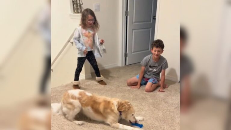 Watch The Moment Florida Rescue Dog Realizes She’s Safe Enough To Play