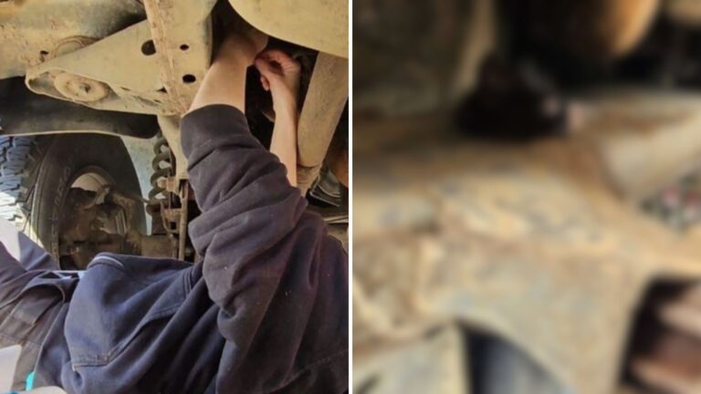 San Diego Man Follows Odd Sounds And Makes A Jaw-Dropping Discovery In His Truck