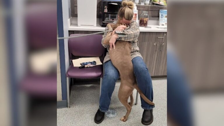 After Months In Atlanta Shelter, Dog Hears A Voice Calling His Real Name And Everyone Tears Up