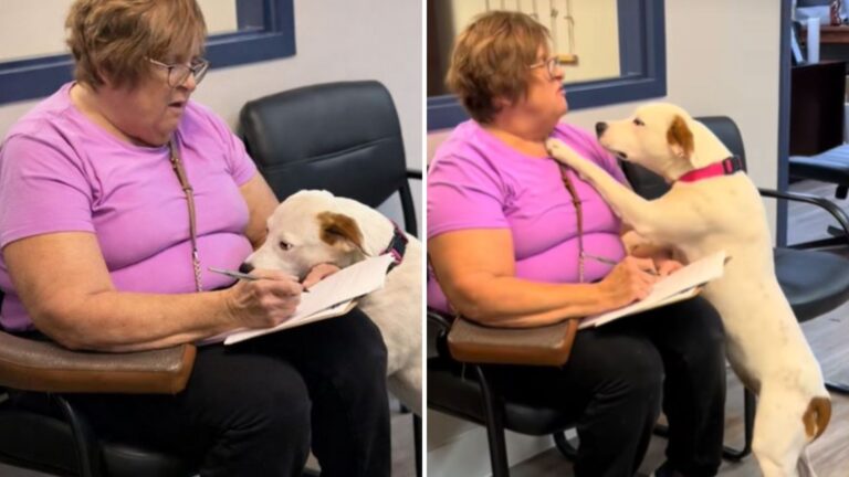 Woman Signs Adoption Papers In Florida Shelter And The Pup’s Reaction Leaves Everyone In Awe