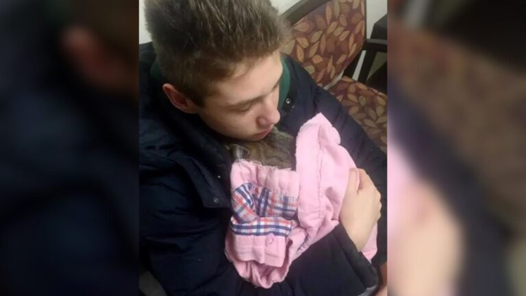 Teen Sees Cat Thrown From Moving Car In Pennsylvania And His Reaction Shocks Everyone