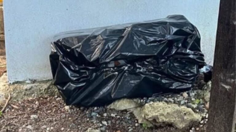 Trash Bag Left Outside NY Shelter Exposes A Horrifying Scene No One Saw Coming