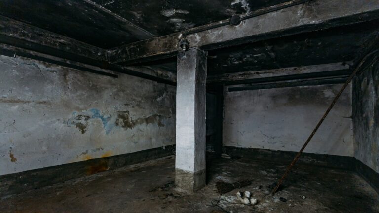 Faint Cries Lead Brooklyn Man Into Abandoned Basement And He’s Not Prepared For What’s Inside