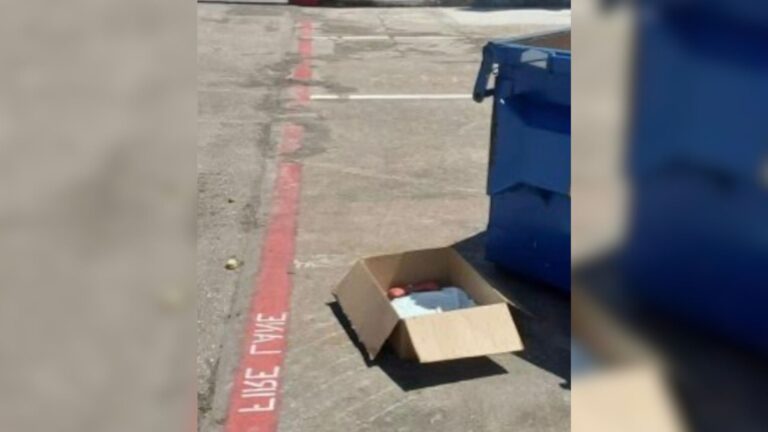 Texas Woman Followed Her Dogs To Cardboard Box, What She Found Was Just Too Painful To Process