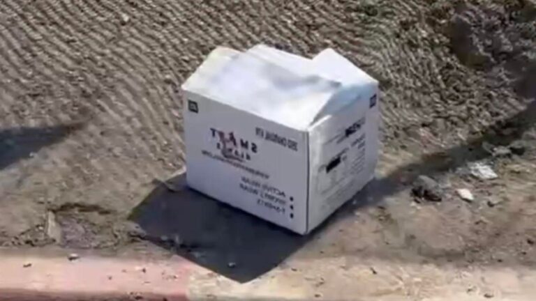 LA Woman Feels Drawn To A Box Sitting On A Curb And Goes To Check, Not Knowing What Will Happen