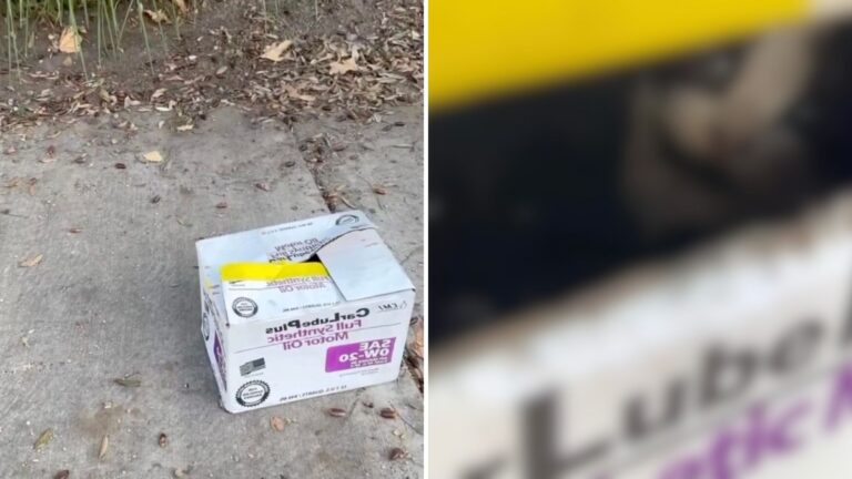 Woman Drives By A Box On The Sidewalk In California, But A Gut Feeling Makes Her Turn Back