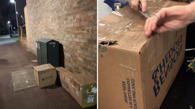 NY Woman Notices Several Cardboard Boxes In A Dark Alley And Stops Cold When She Hears A Sound