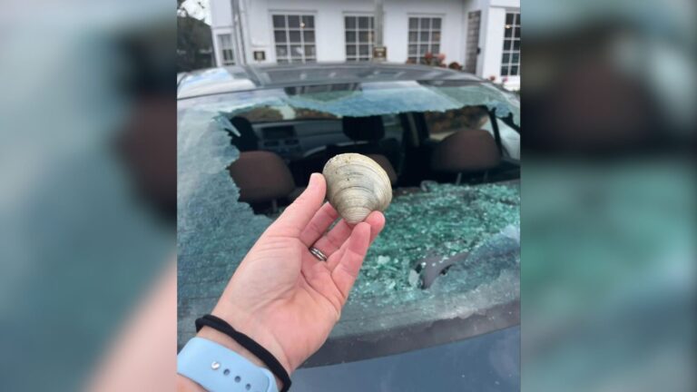 Massachusetts Woman Finds Her Car Window Smashed, Then Police Identify An Unbelievable Culprit