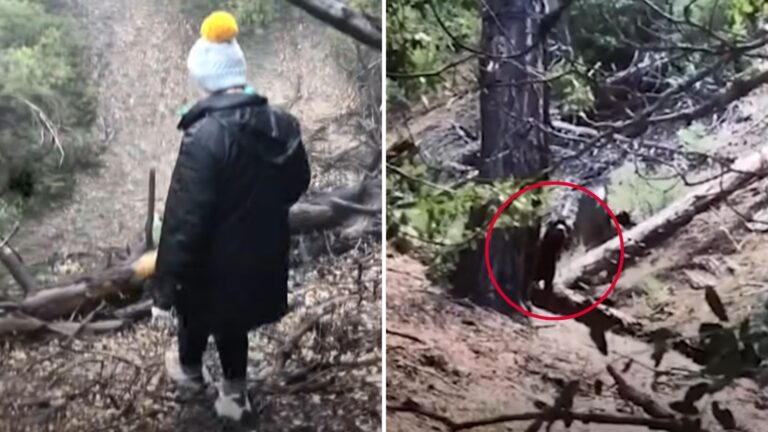 LA Woman Spots Large Dark Figure Watching Her From Cliffside And Decides To Follow It