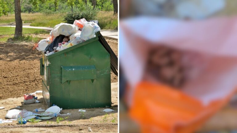 Virginia Worker Heard Soft Whimpers From Dumpster And Immediately Knew This Was Bad