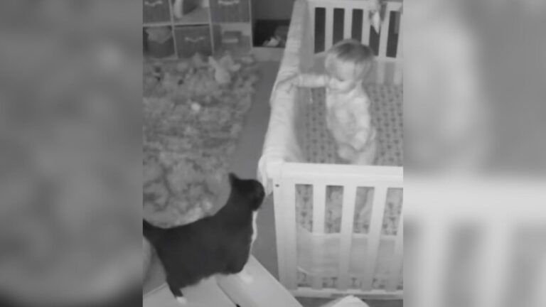 Ohio Mom Checks Baby Monitor At Night And Catches A Moment She’ll Never Forget