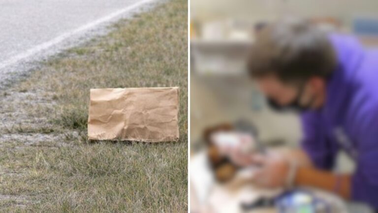 Man Sees A Paper Bag Sitting By The Roadside In North Carolina And Something Tells Him To Stop