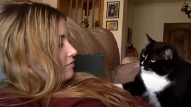 Georgia Woman Films Her Cat’s Unique Way Of Asking For Pets And It’s Melting Hearts Everywhere