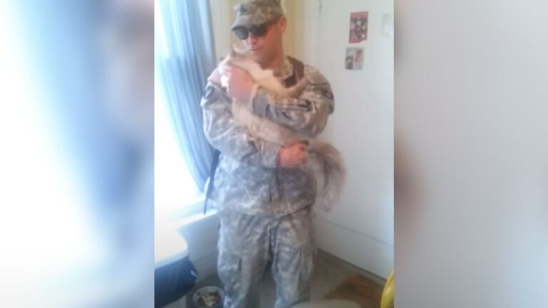 Ohio Cat Awaits His Soldier Daddy’s Return And Their Reunion Will Melt Your Heart