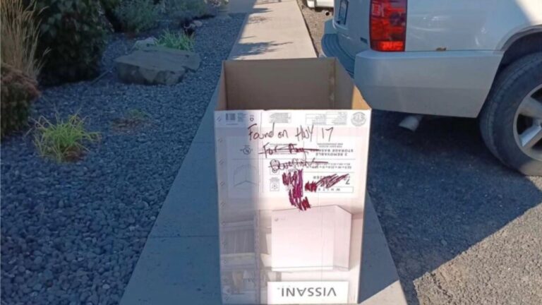 Box Marked ‘Found On HWY 17’ Brings Washington Rescuers To Tears As They Get Closer
