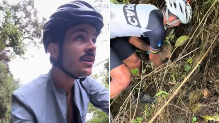 Cyclists Hear Distressed Cries From The Woods In Colombia And Head Over To Find The Source