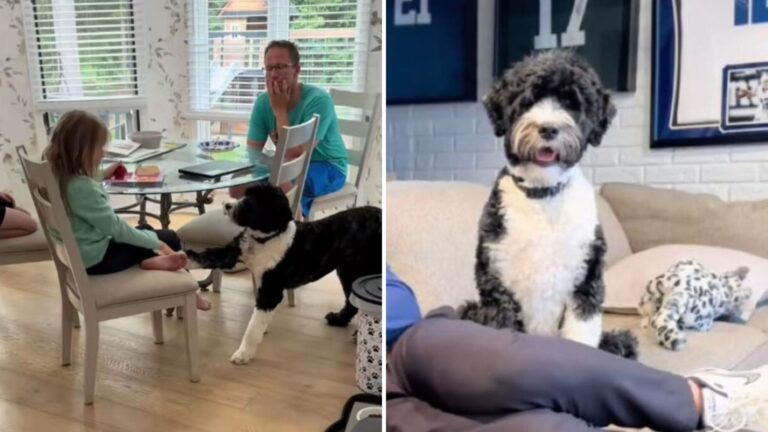 Ohio Family Notices Their Dog Staring At Their Daughter, Then Realizes The Urgent Warning